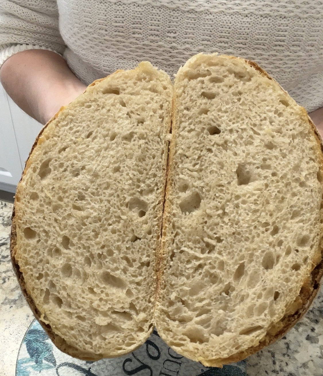 Easy No Knead Sourdough Bread Recipe - Beginners Recipe - Shakan Ranch