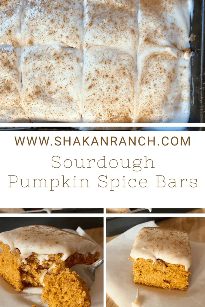 Collage of sourdough pumpkin spice bars with cream cheese frosting — easy fall sourdough dessert made with real pumpkin puree and warm spices.