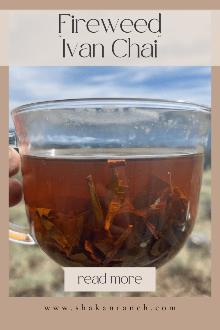 Ivan Chai Tea Fireweed aka