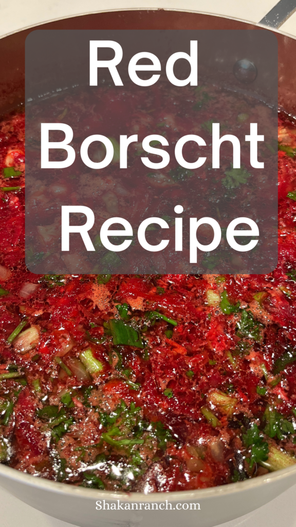 Red borscht recipe pin. 