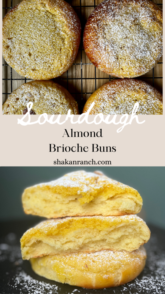 Sourdough almond brioche buns pin. 