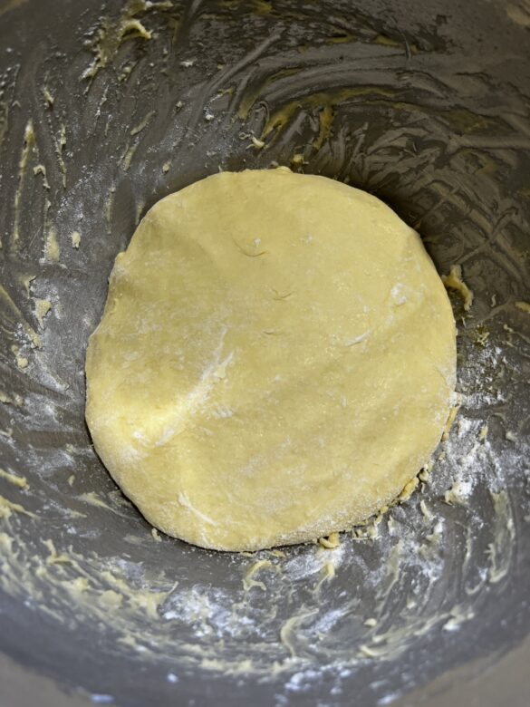 Sourdough Nutella babka dough.