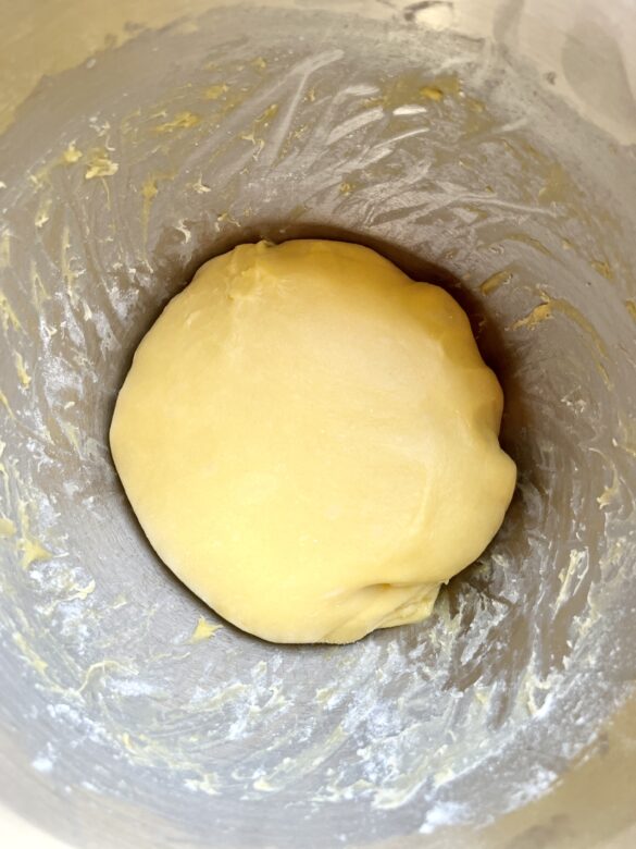 Sourdough Nutella babka dough.