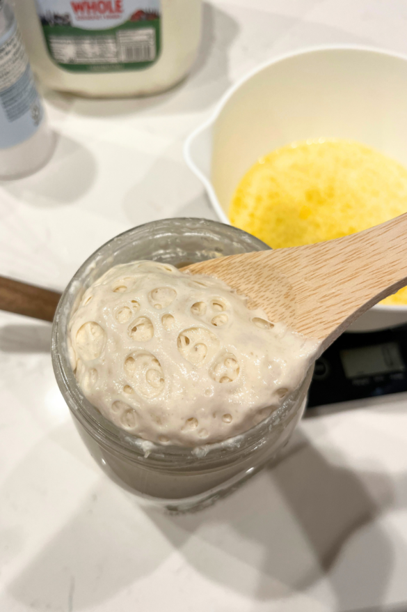 Sourdough starter.