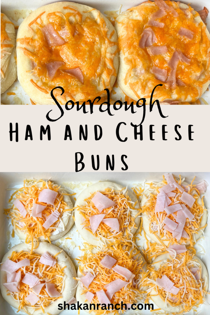 Sourdough ham and cheese buns pin. 