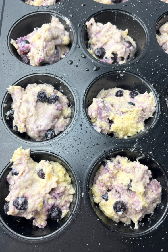 Sourdough lemon blueberry muffins.