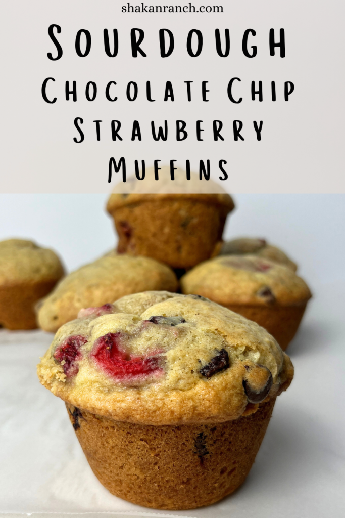 Sourdough Chocolate Chip Strawberry Muffins