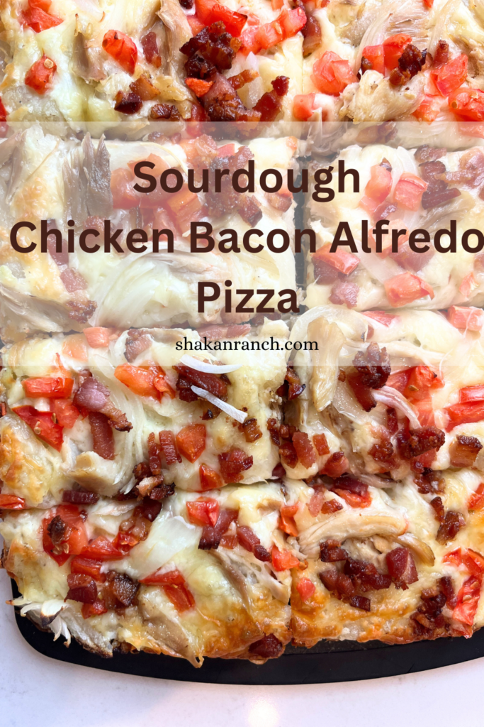 Sourdough Chicken Bacon Alfredo Pizza. 