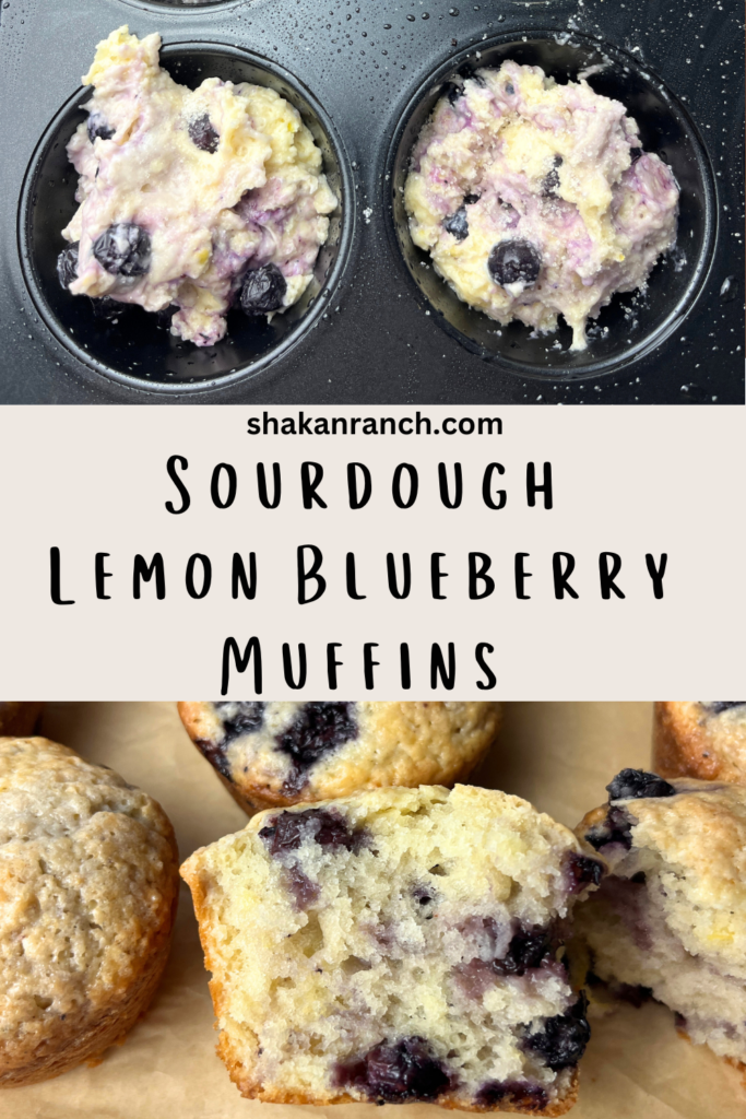 Sourdough lemon blueberry muffins pin. 