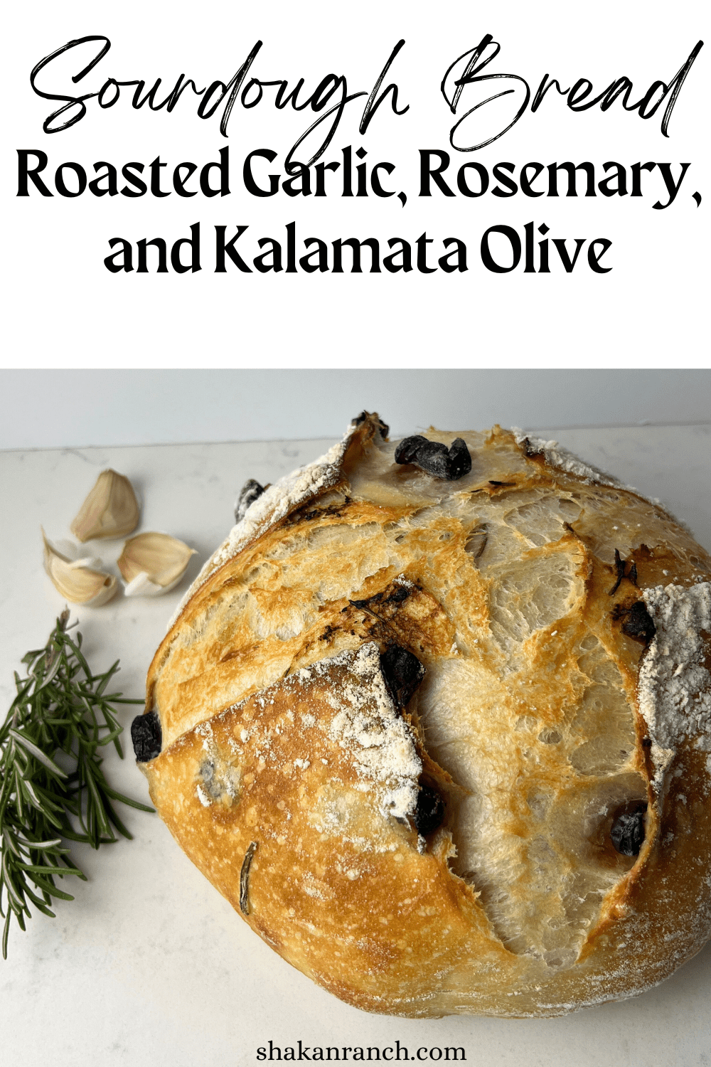 Roasted Garlic, Rosemary, and Kalamata Olives Sourdough Bread Shakan