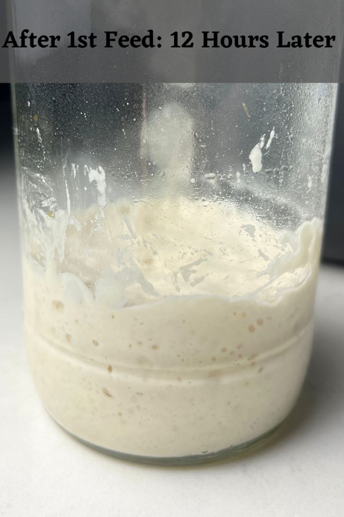 Rehydrating sourdough starter.