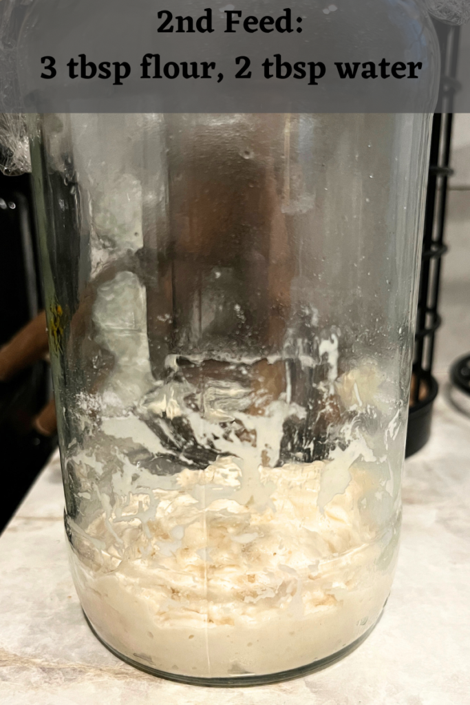 Rehydrating sourdough starter.