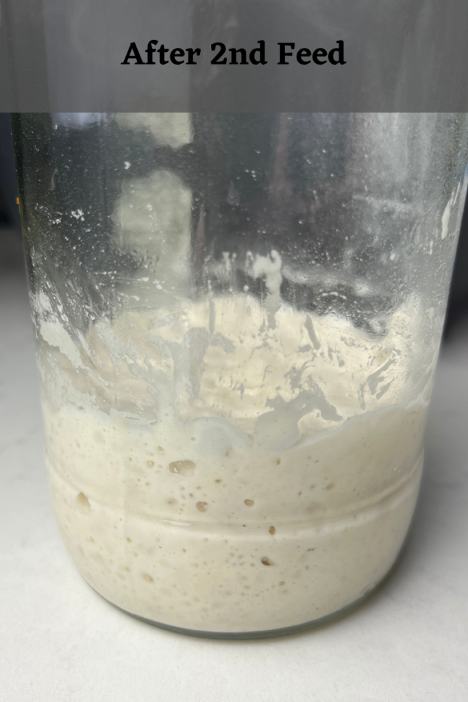 Rehydrating sourdough starter.