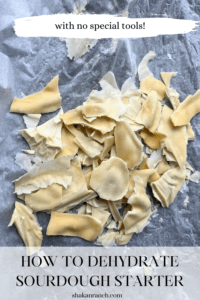 How To Dehydrate Sourdough Starter Without Special Tools - Shakan Ranch