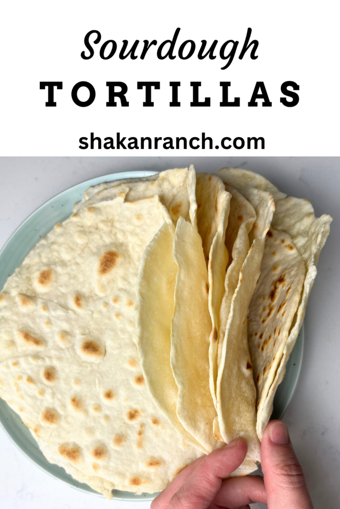 Sourdough tortillas. 