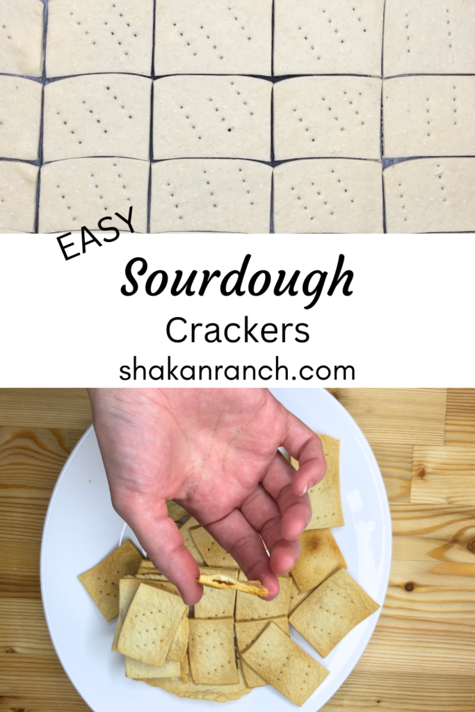 Sourdough Crackers