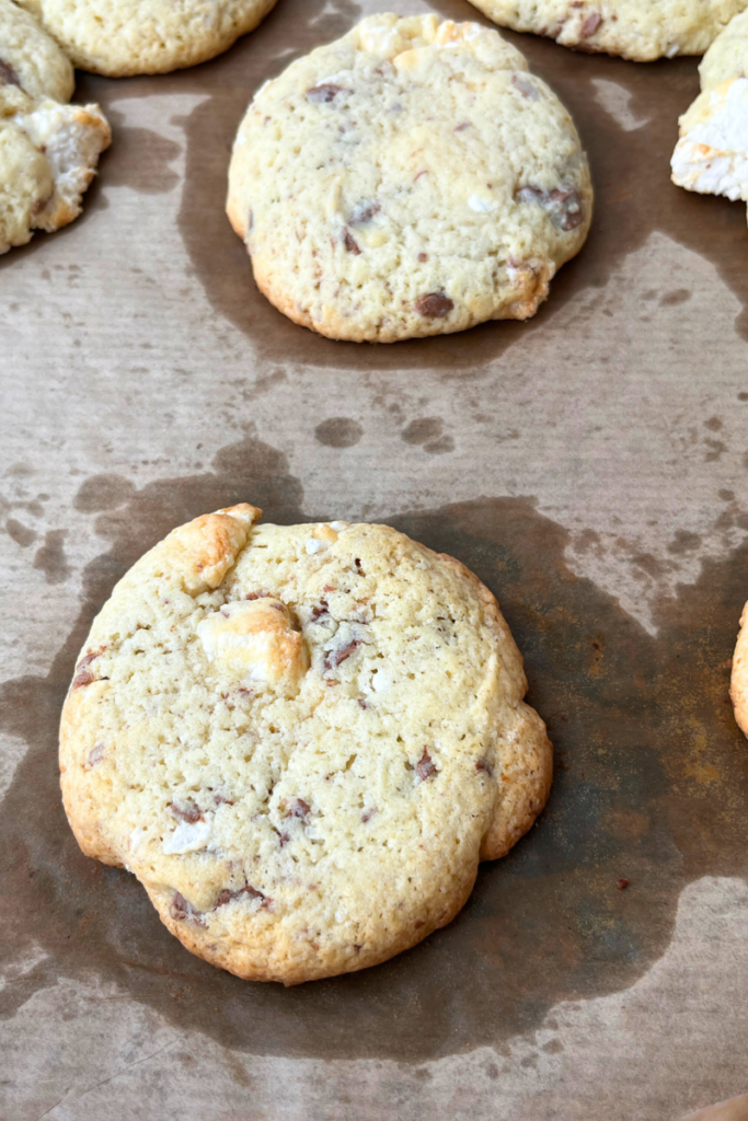 Sourdough Chocolate Chip Marshmallow Cookies