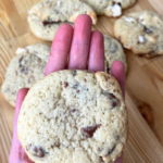 Sourdough Chocolate Chip Marshmallow Cookies