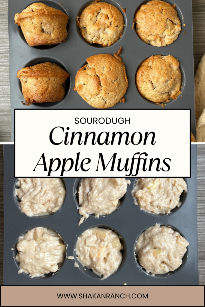 Sourdough Apple Cinnamon Muffins.