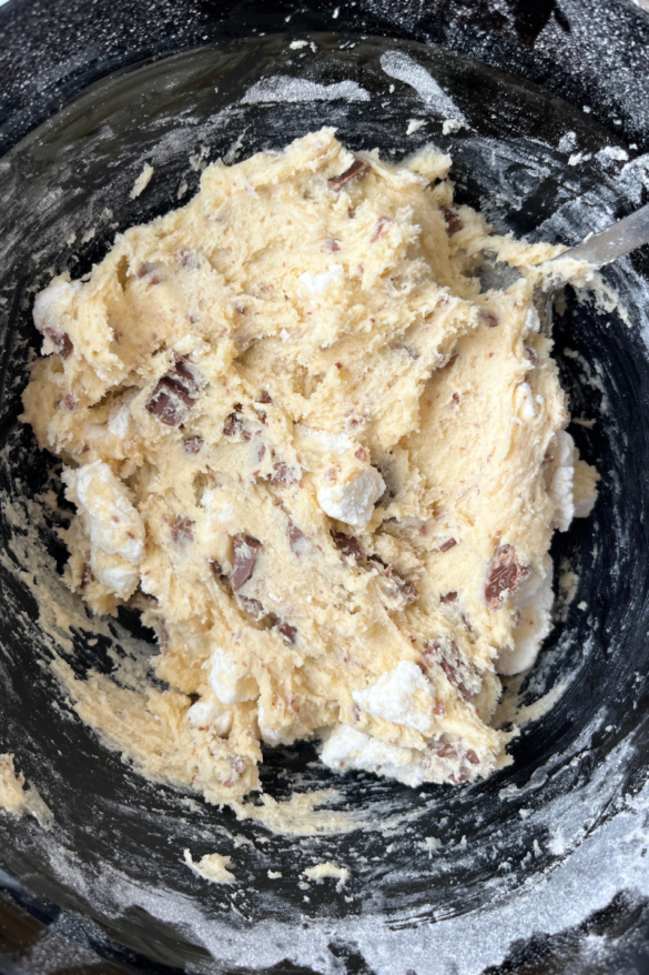 Sourdough Chocolate Chip Marshmallow Cookies