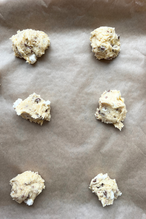 Sourdough Chocolate Chip Marshmallow Cookies