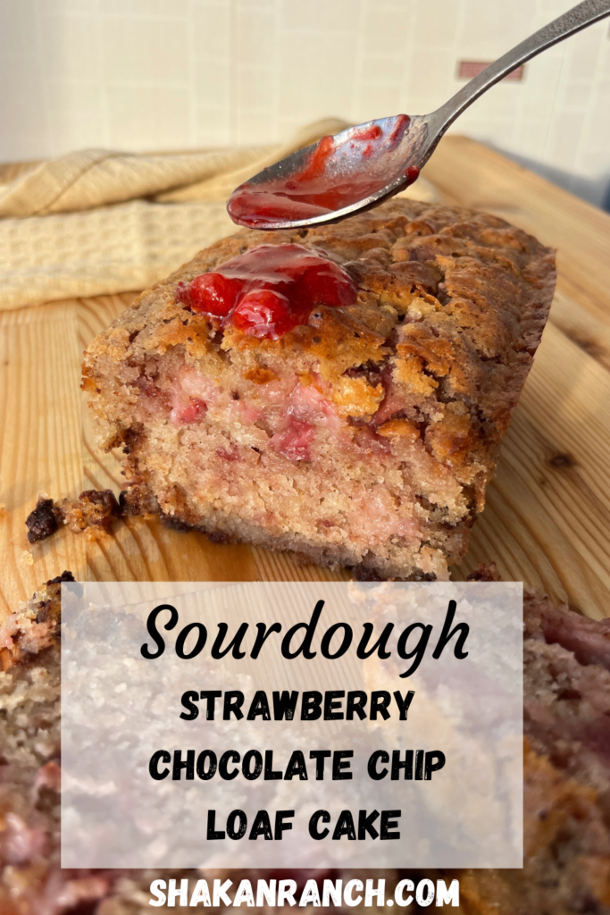 Sourdough Strawberry Chocolate Chip Loaf Cake