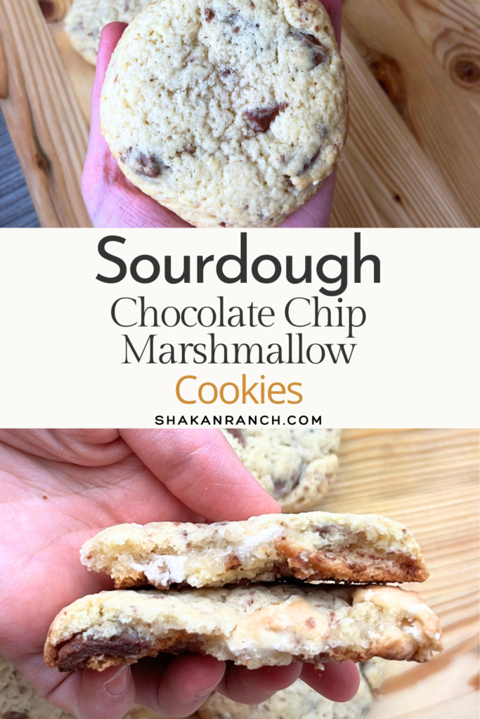 Sourdough Chocolate Chip Marshmallow Cookies