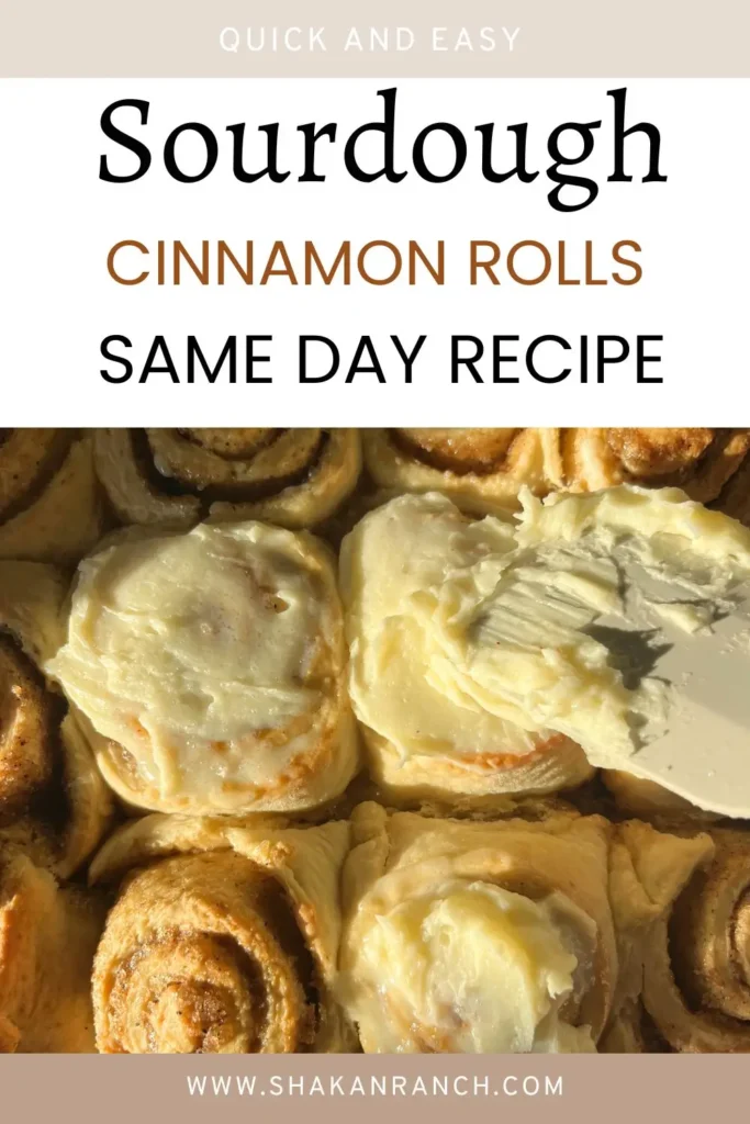 Easy Same Day Sourdough Cinnamon Rolls (Discard)