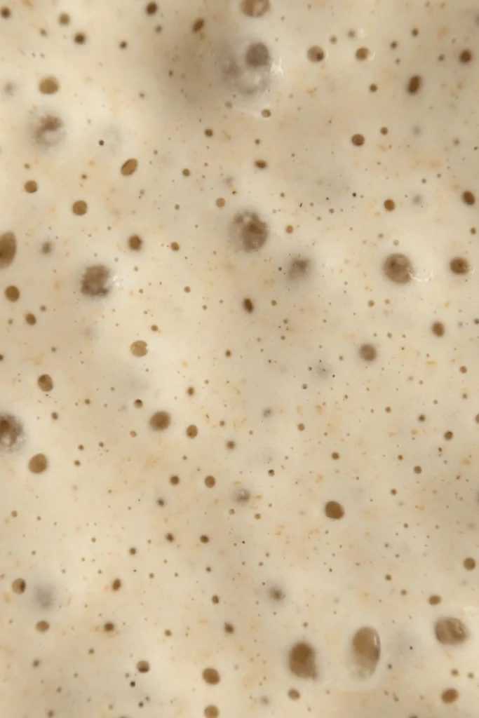 Bubbly sourdough starter. 