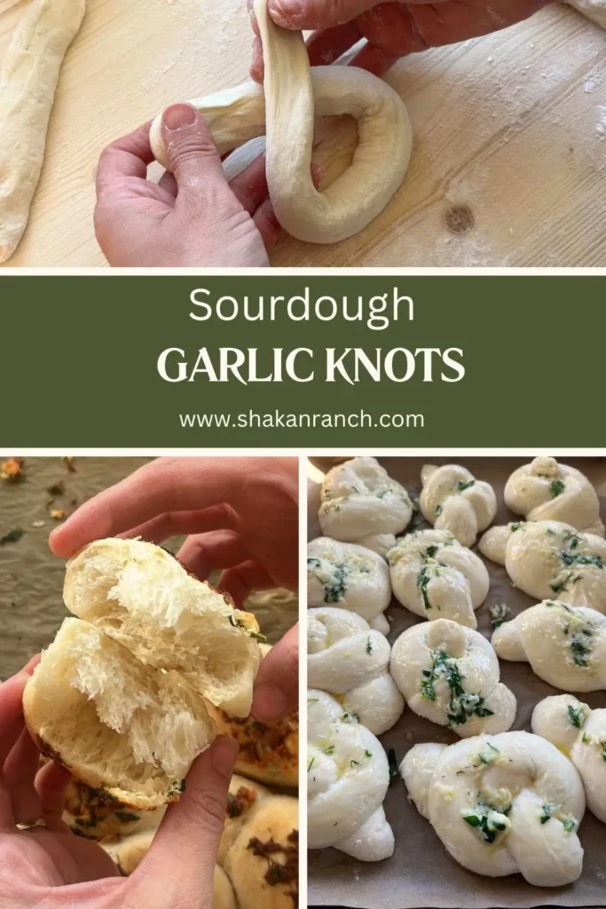Sourdough garlic knots. 