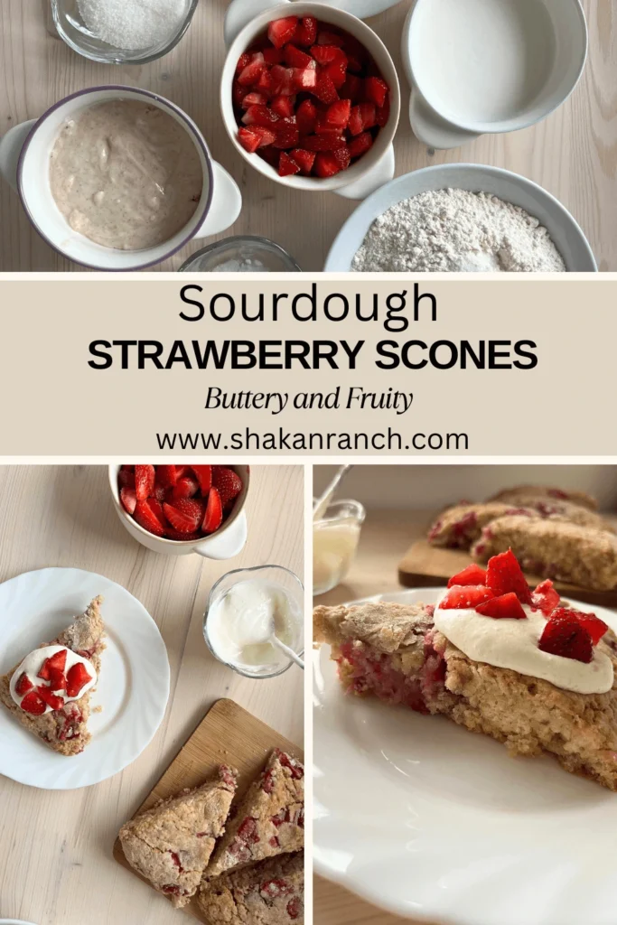 Strawberry Sourdough Scones (or Biscuits!)