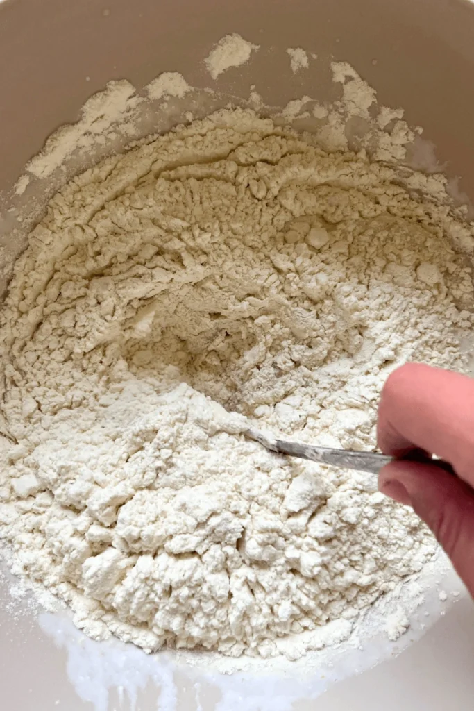Flour, baking powder, salt, and sugar in a mixing bowl. 