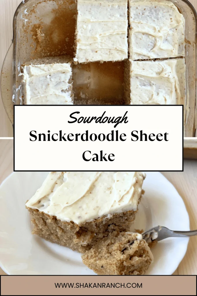 Sourdough snickerdoodle sheet cake sliced and served on a plate pin. 