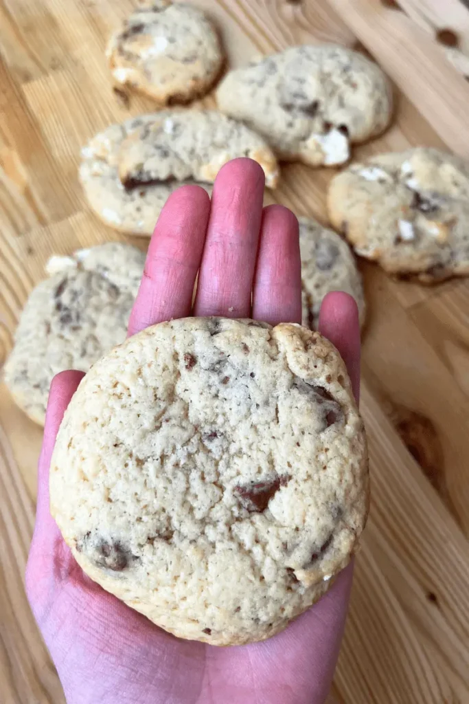 Sourdough Chocolate Chip Cookies with marshmallows.
