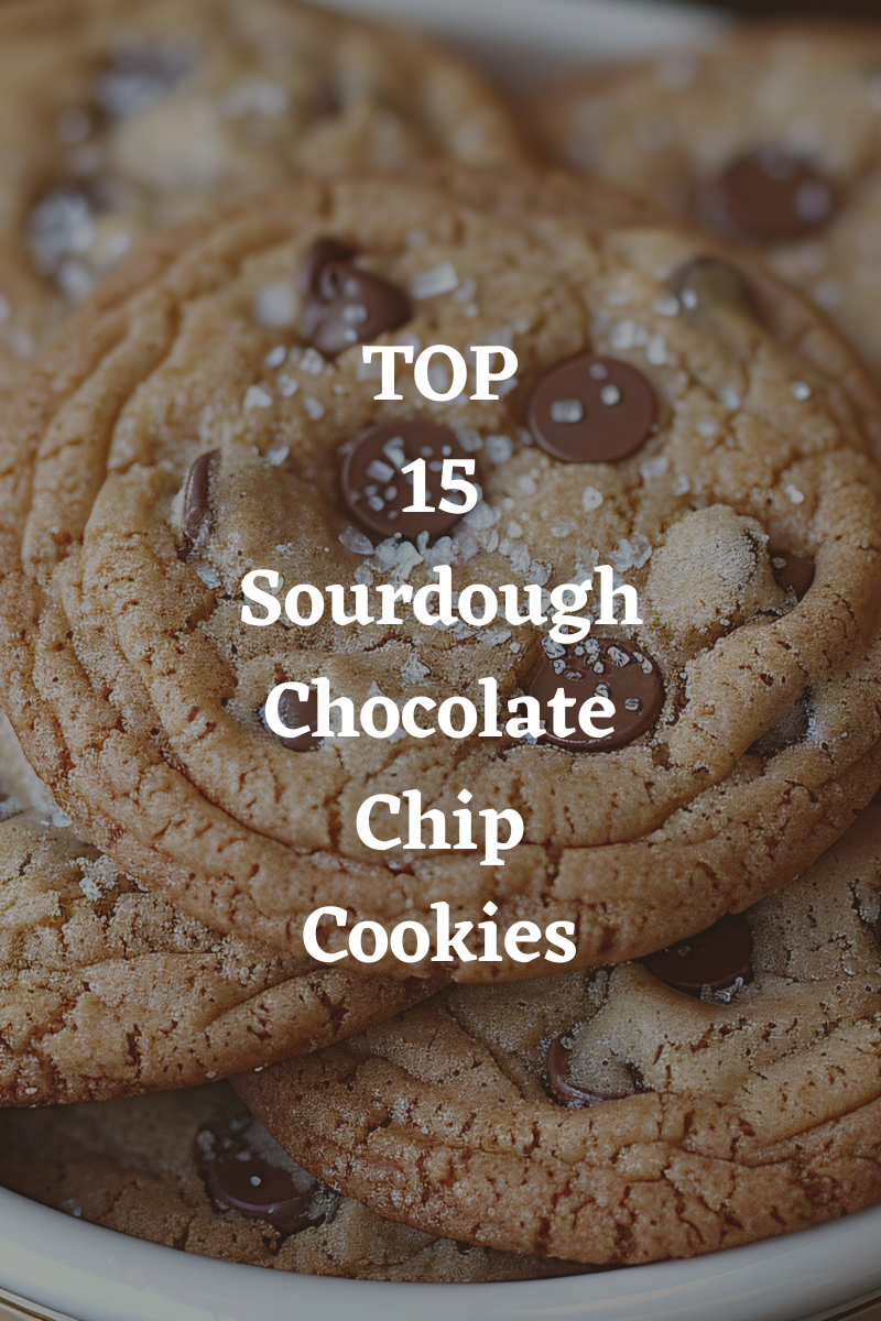 15 Best Sourdough Chocolate Chip Cookies Recipes