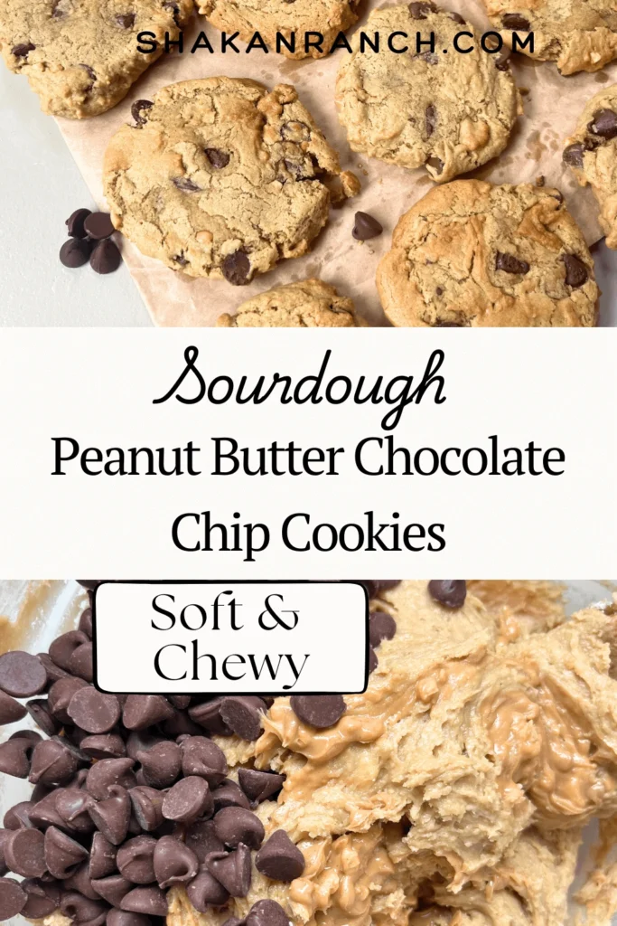Soft & Chewy Sourdough Peanut Butter Chocolate Chip Cookies