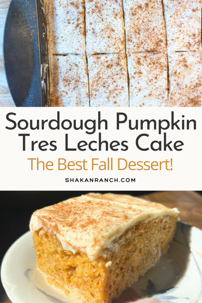 Pumpkin Sourdough Tres Leches Cake pin. 