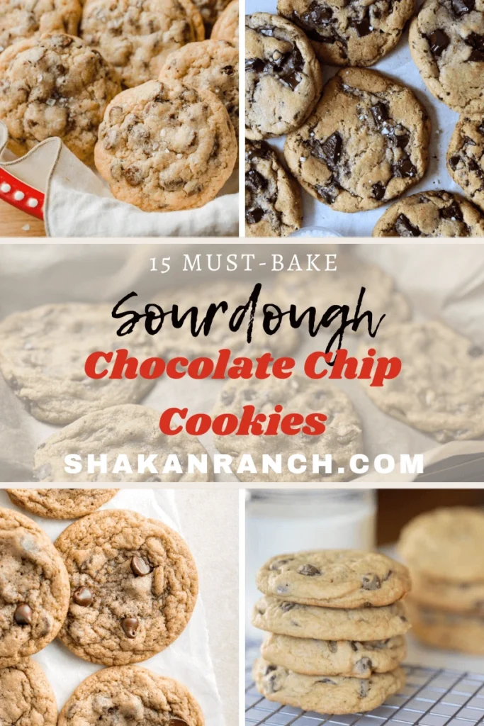 Sourdough Chocolate Chip Cookies pin. 