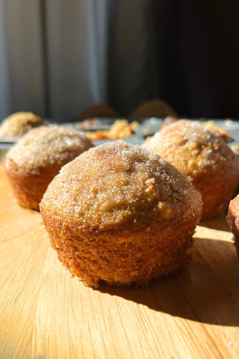 Sourdough Apple Cider Muffins