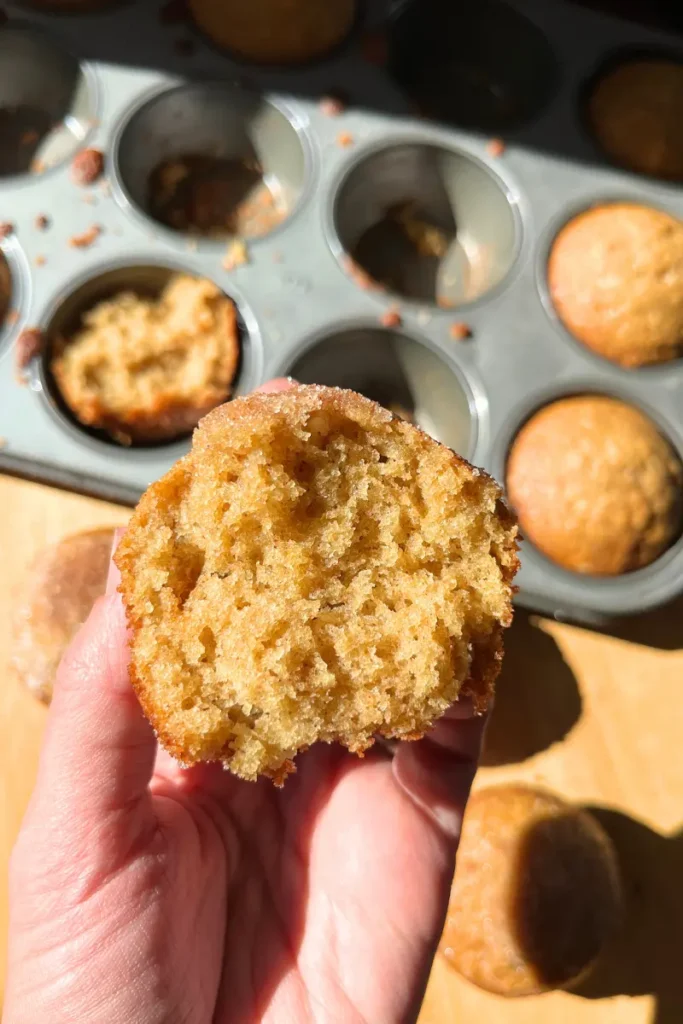 Sourdough Apple Cider Muffin crumb shot. 