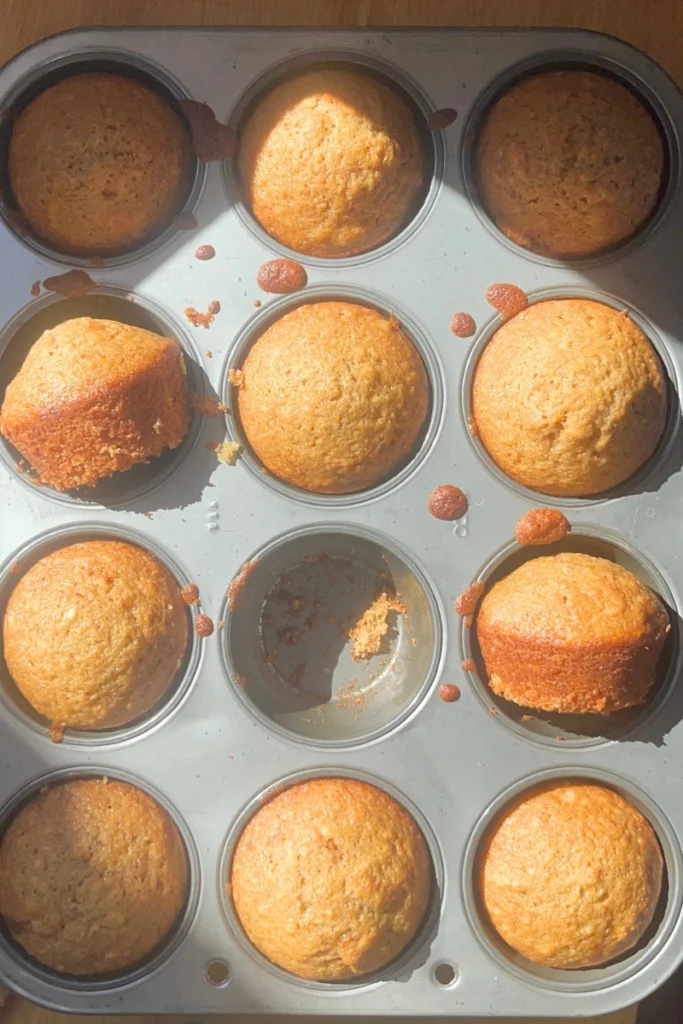 Sourdough Apple Cider Muffins in a muffin tin baked. 