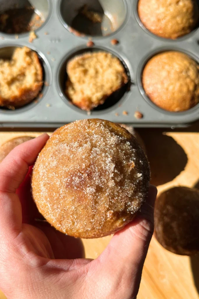 Sourdough Apple Cider Muffin in a hand with cinnamon sugar top. 