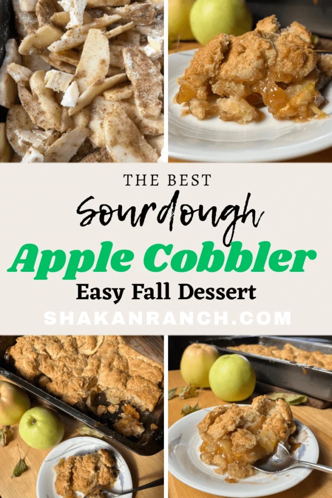 The Best Sourdough Apple Cobbler – Easy Fall Dessert pin. 