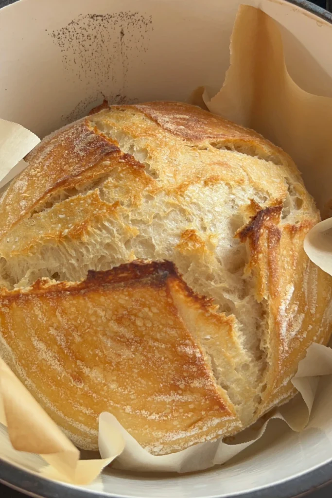 Freshly baked sourdough boule baked in a Dutch oven.