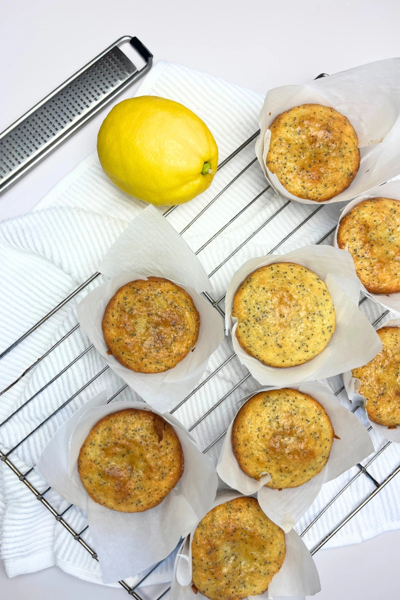 Sourdough Lemon Poppy Seed Muffins