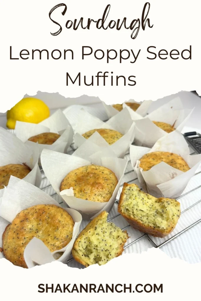 Valentines Day-14 Sourdough lemon poppy seed muffins. Soft and fluffy bakery-style texture, made with sourdough discard and fresh lemon zest.